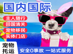 佛山沙堤机场快递国际宠物托运 【国